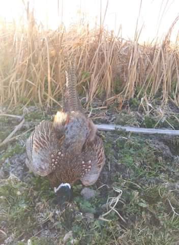 Customer photo review of TorridWade Heated Duck Waterfowl Hunting Breathable Chest Waders