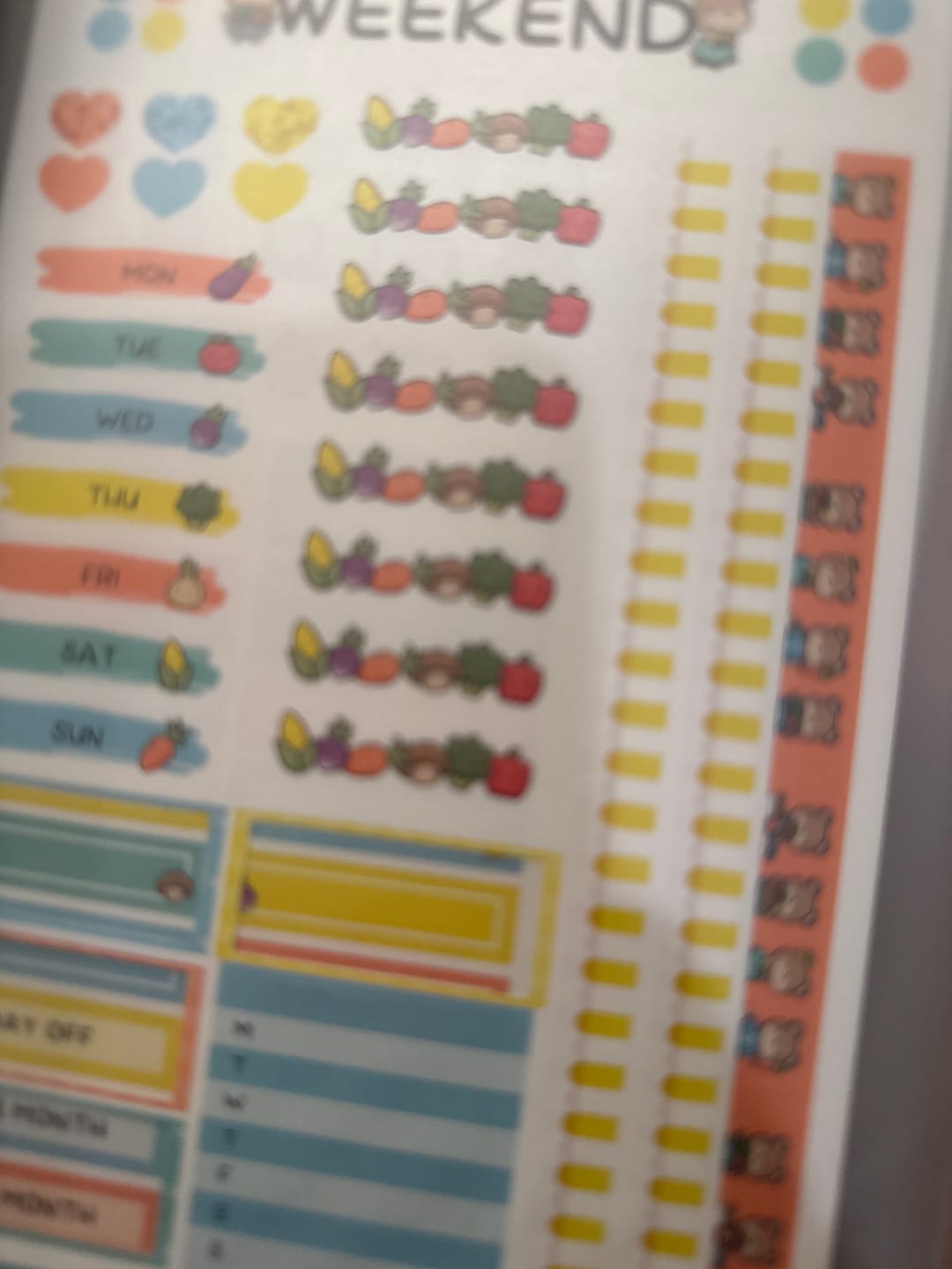 Customer photo review of Hobonichi Subscription
