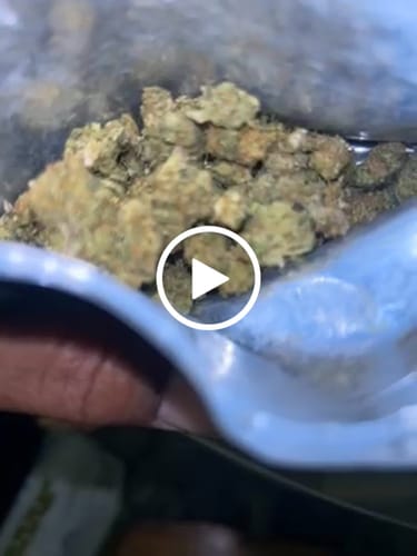 Customer video review of Gary Payton THCA Flower