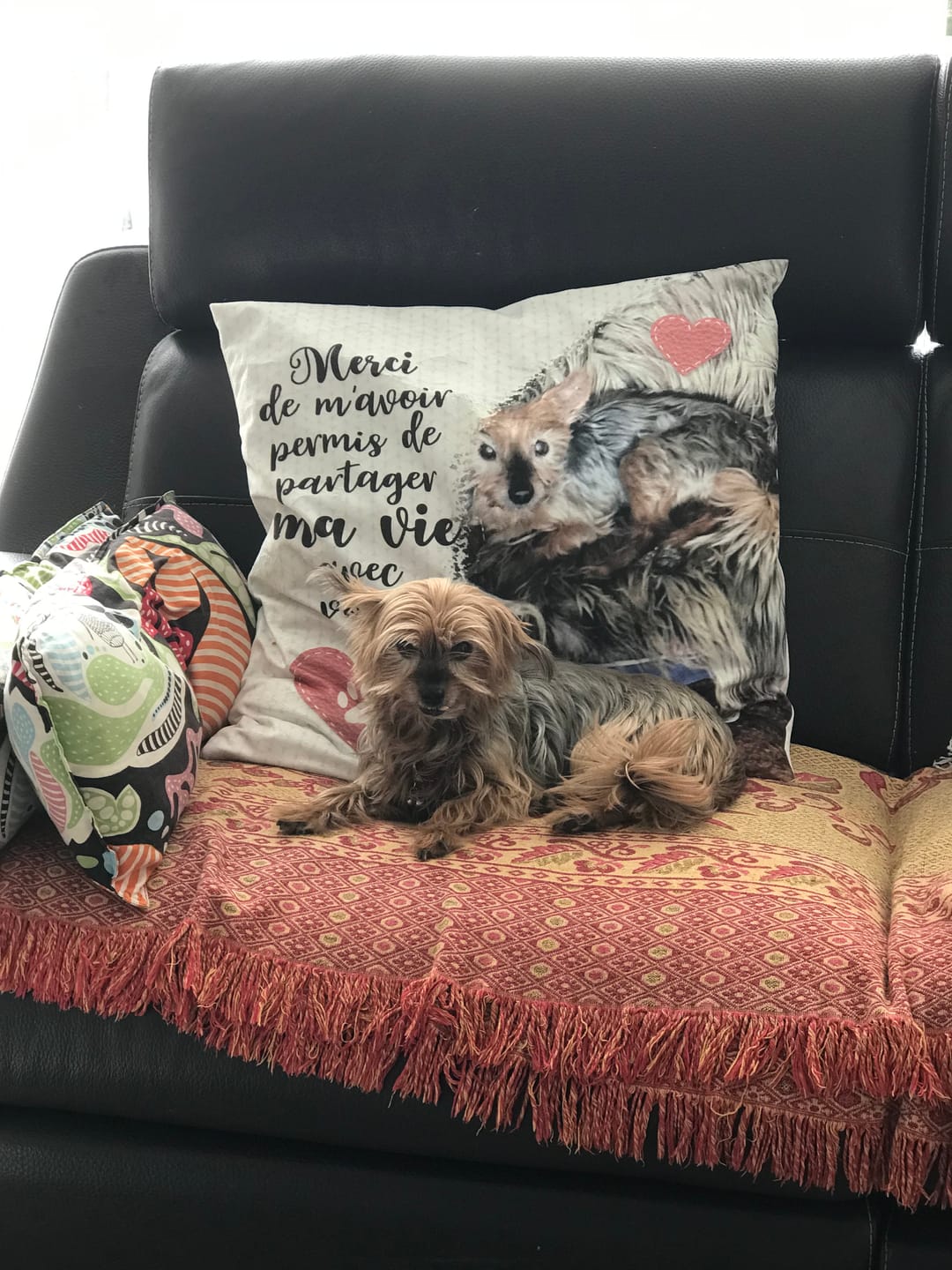 Customer photo review of Merci - Coussin personnalisé