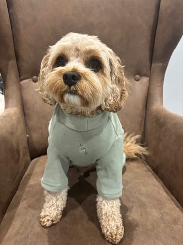Customer photo review of Matcha | The Capsule Fleece Bodysuit