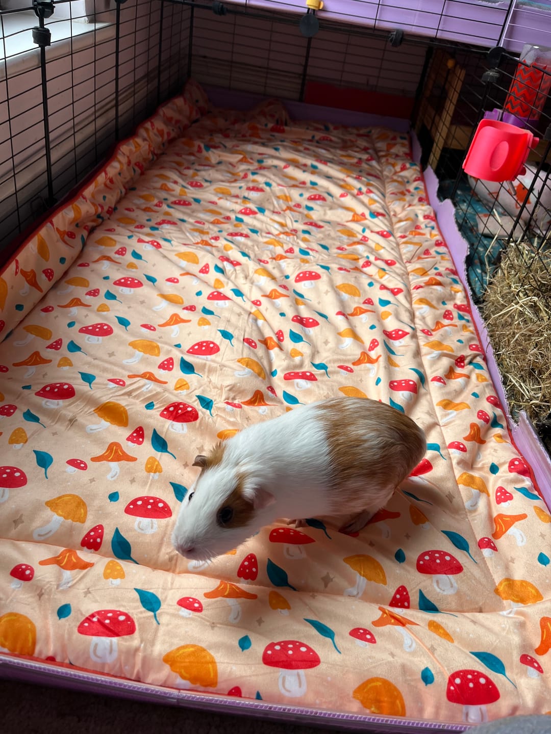 Customer photo review of Set of 2 Fleece Liners Bundle | Mushroom