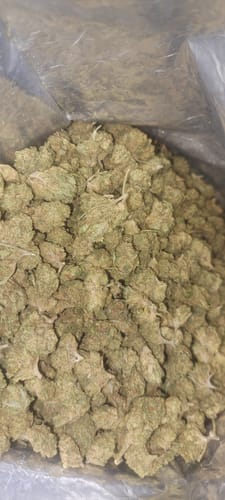 Customer photo review of Alaskan Ice Cream – Budget THCA (Smalls)