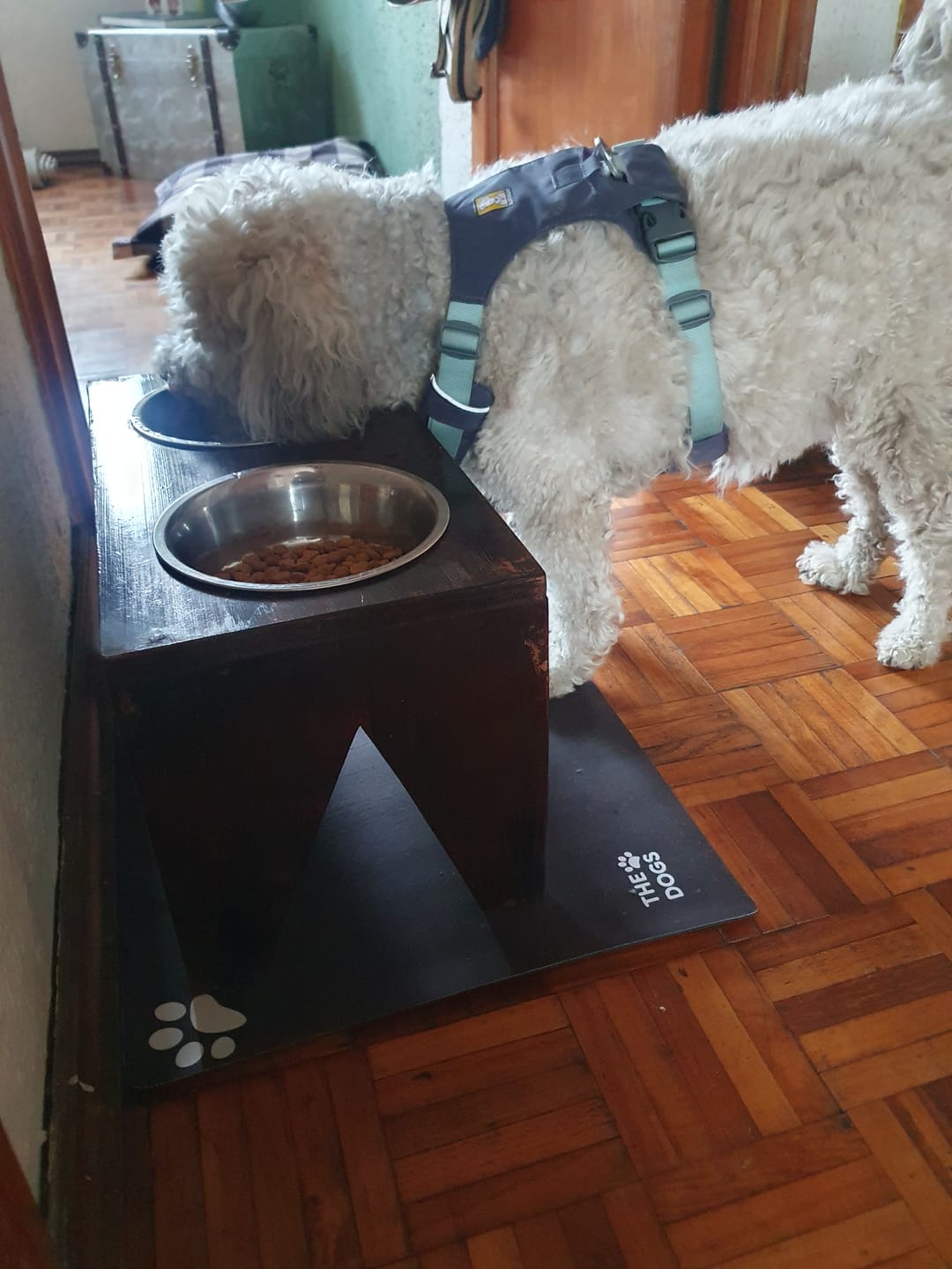 Customer photo review of Mat Absorbente para alimentación