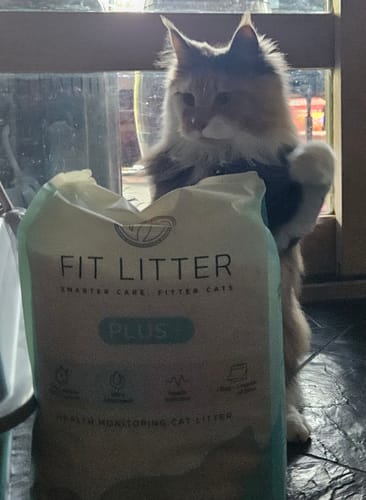 Customer photo review of Fit Litter PLUS - 3 month supply - 6 cat