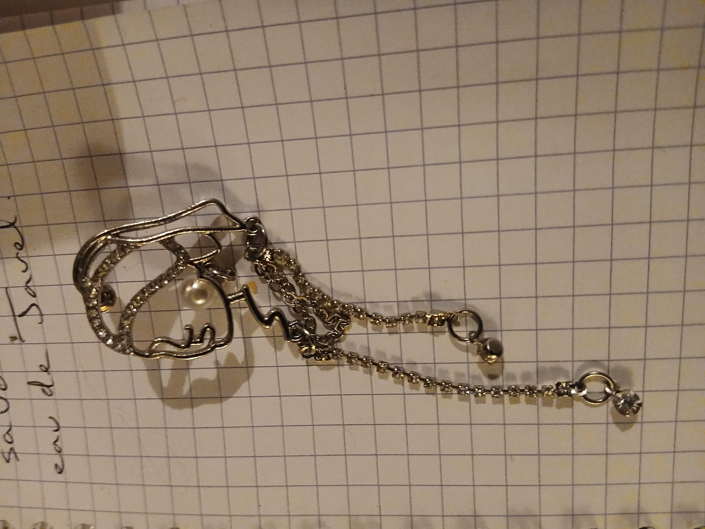 Customer photo review of Girl with a Pearl Earrings