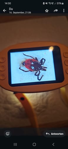 Customer photo review of Edubini Abenteuer-Mikroskop für Kinder