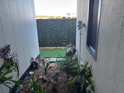 Customer photo review of Fake Ivy Roll 3m x 1m – Instant Artificial Hedge Panel Ivy Roll