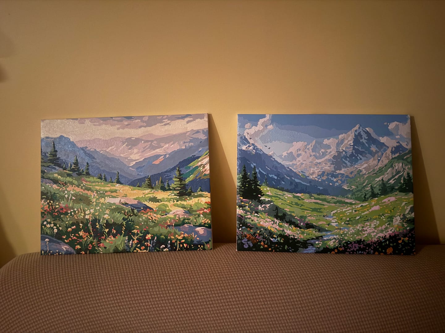 Customer photo review of Mountain Chain View