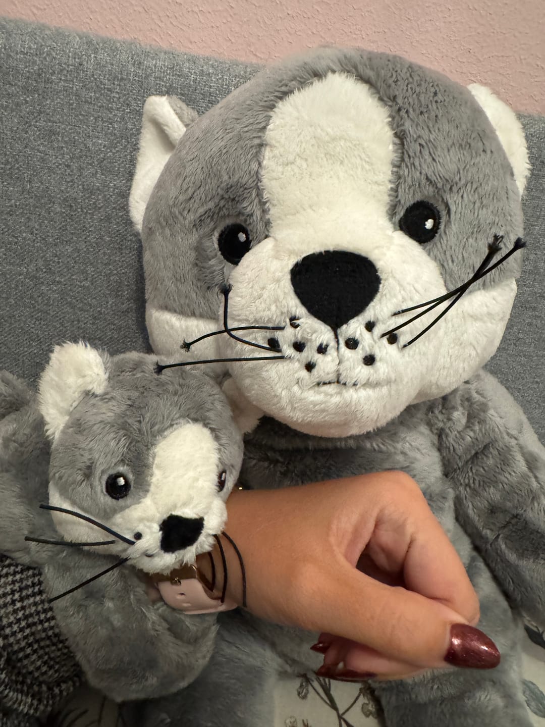 Customer photo review of Mini & Grote kat - Je bespaart €20