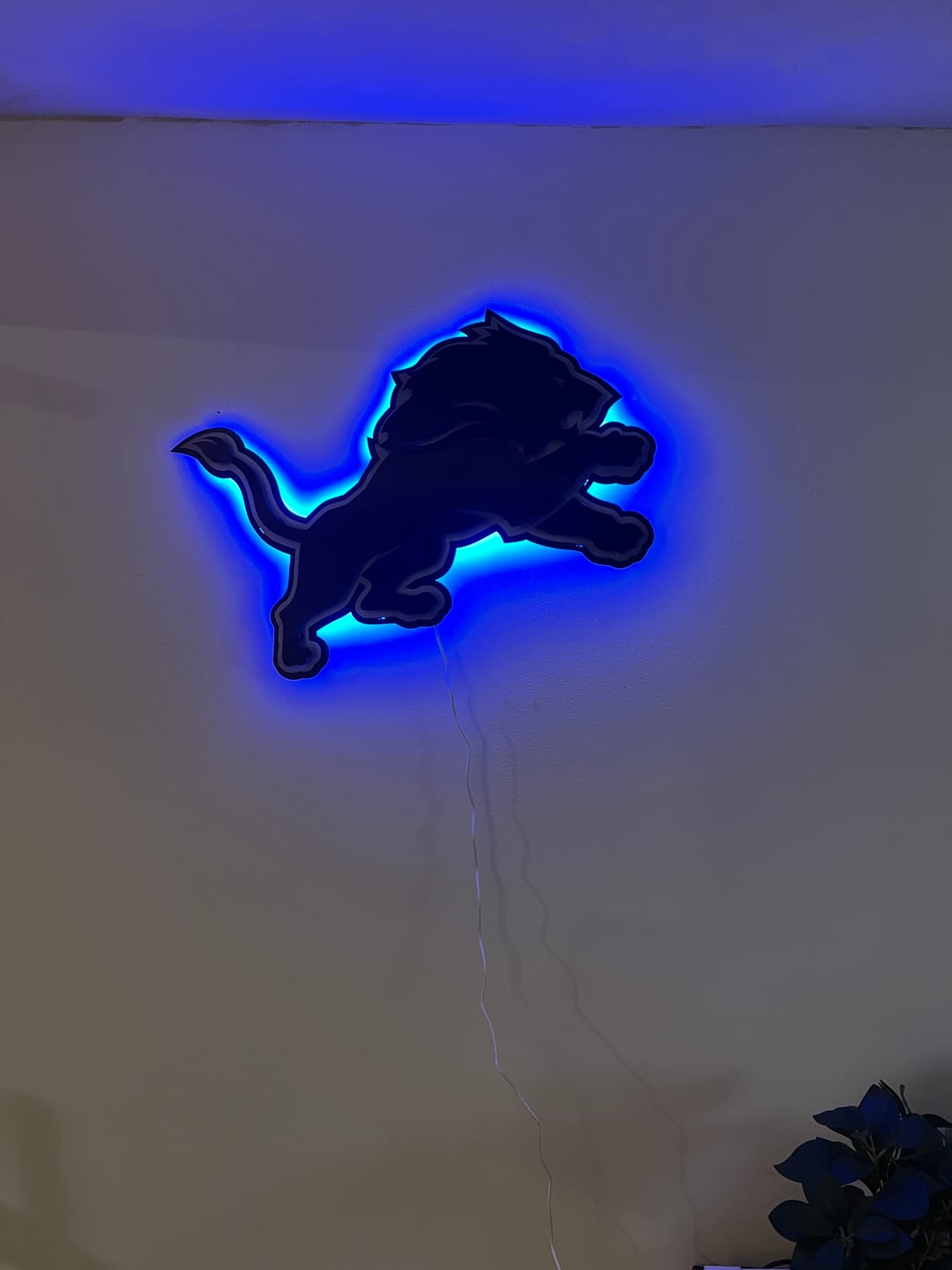 Customer photo review of MONOCHROME - Detroit Lions 3D Vintage Metal Wall Art