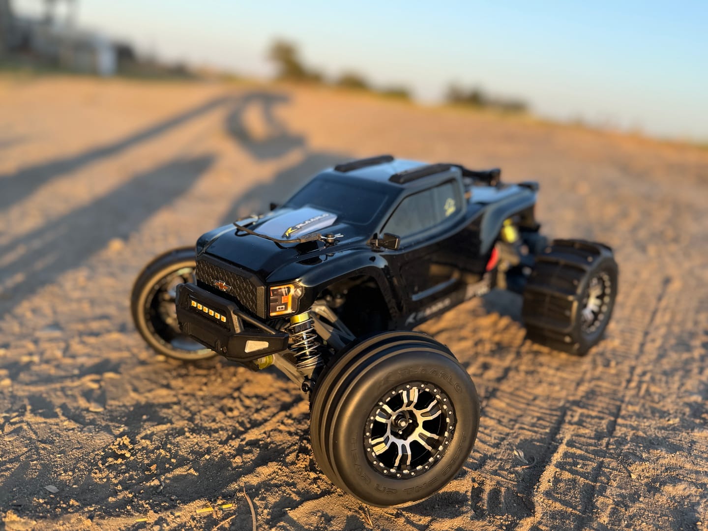 Customer photo review of RC Paddle Tires For RZ001