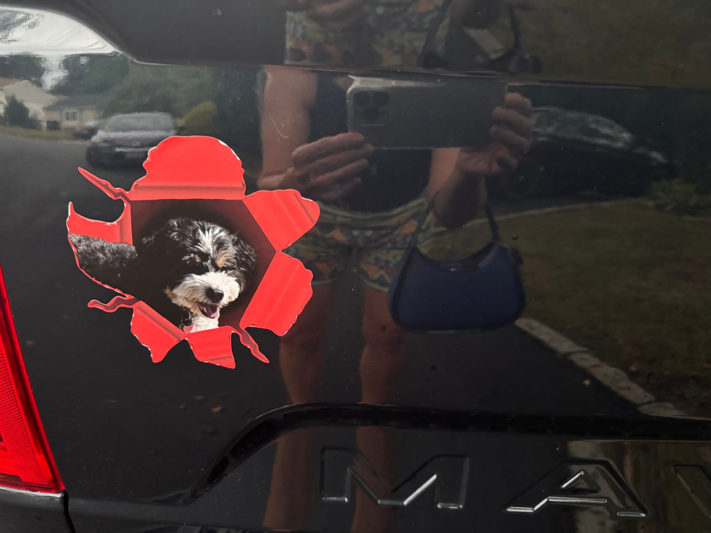 Customer photo review of Peeking photo – Personalized Car Sticker