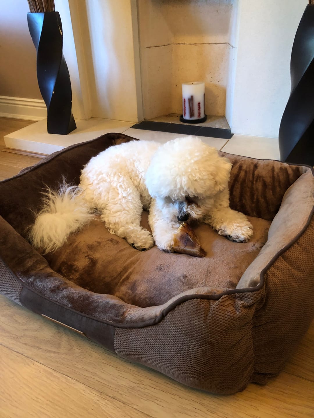 Customer photo review of Chester Box Dog Bed