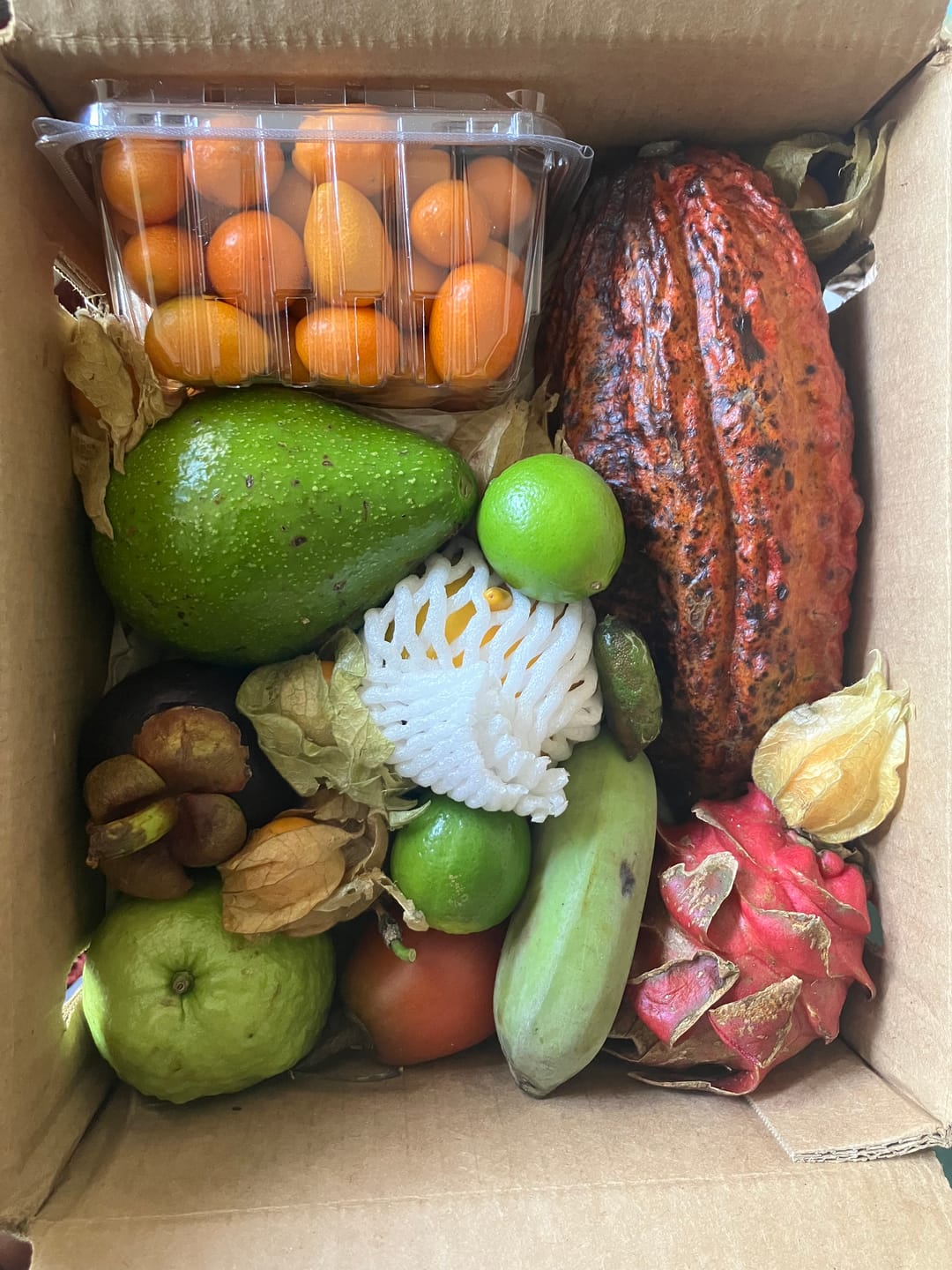Customer photo review of Variety Box