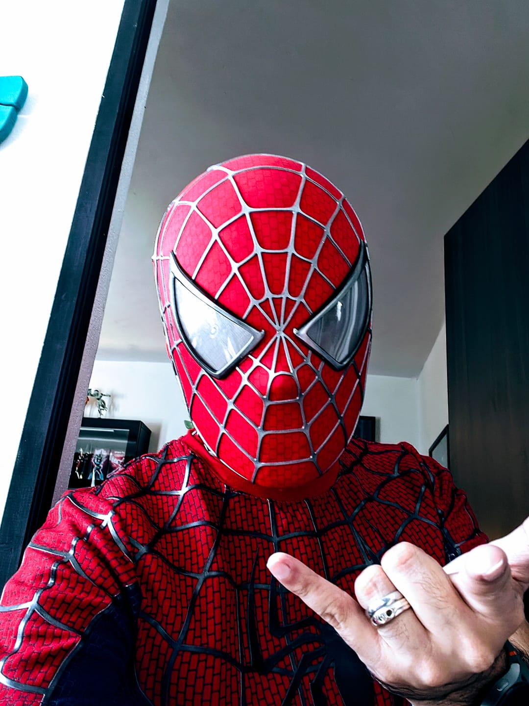 Customer photo review of Tobey Maguire Spider-Man Life Size Wearable Mask