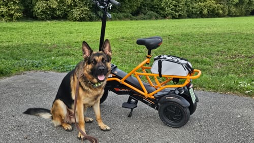 Customer photo review of Trottinette électrique 3 roues avec selle 1000W modèle F2