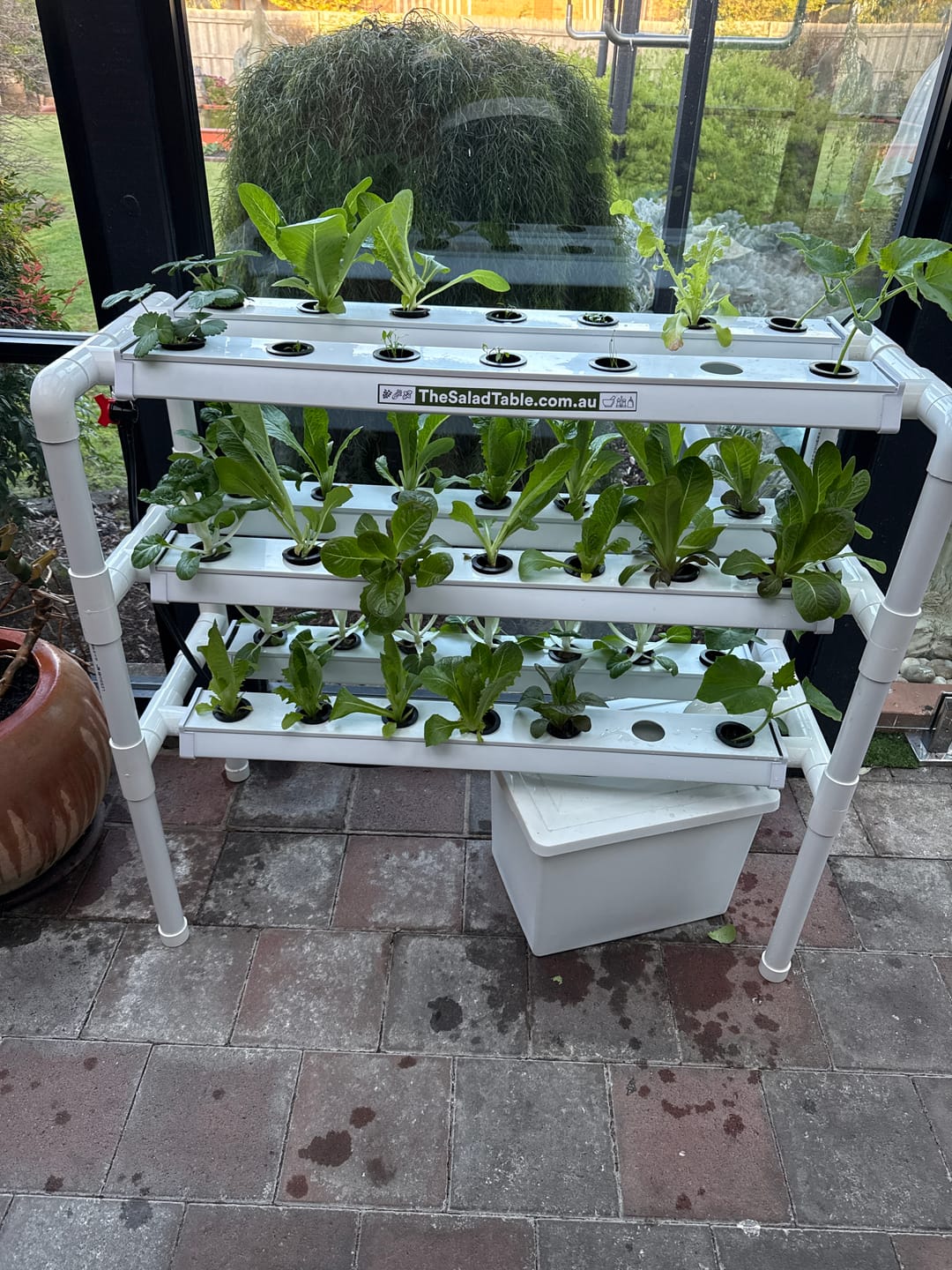Customer photo review of The Triple Decker Salad Table