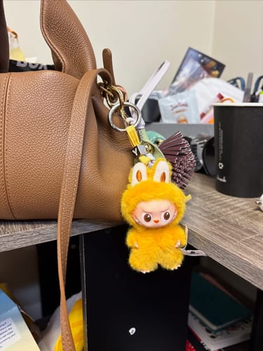 Customer photo review of THE MONSTERS LABUBU Pin for Love Series-Vinyl Plush Pendant Blind Box