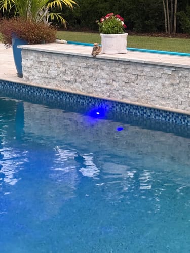 Customer photo review of Pentair Microbrite Color Led Light 150' - EC-620426