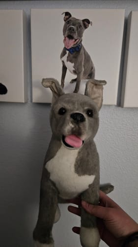 Custom Petslify plush reviewed by Kennedy K., handmade replica of their dog