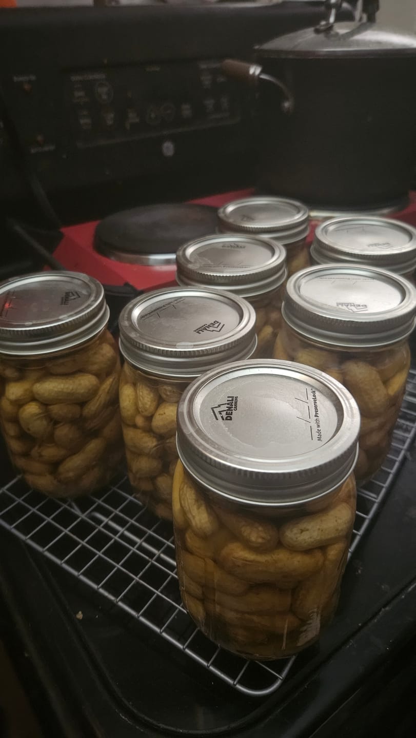 Customer photo review of Wide, (10) Dozen Lids, (2) Dozen Rings