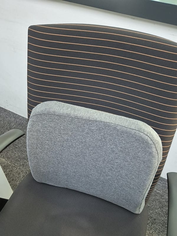 Customer photo review of Getha Guardian Lumbar Support Latex Cushion