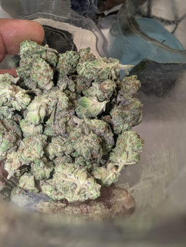 Customer photo review of White Rhino THCA Flower