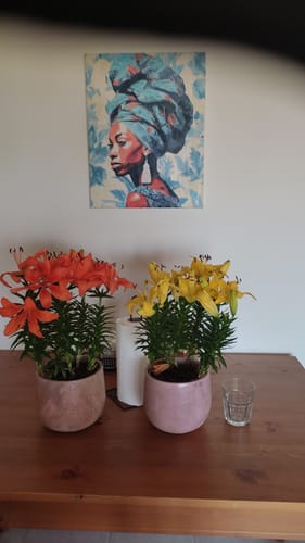 Customer photo review of צביעה לפי מספרים בעיצוב אישי
