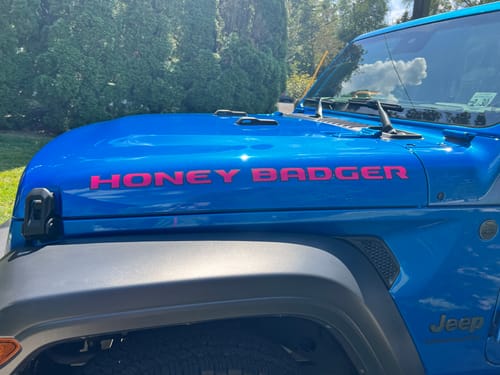 Customer photo review of Custom Hood Lettering | Set of 2