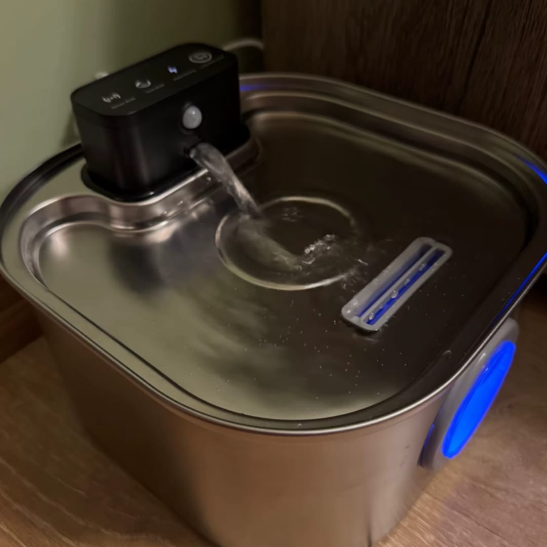 Customer photo review of PfotenBrunnen™ - Der automatischer Katzenwasserspender