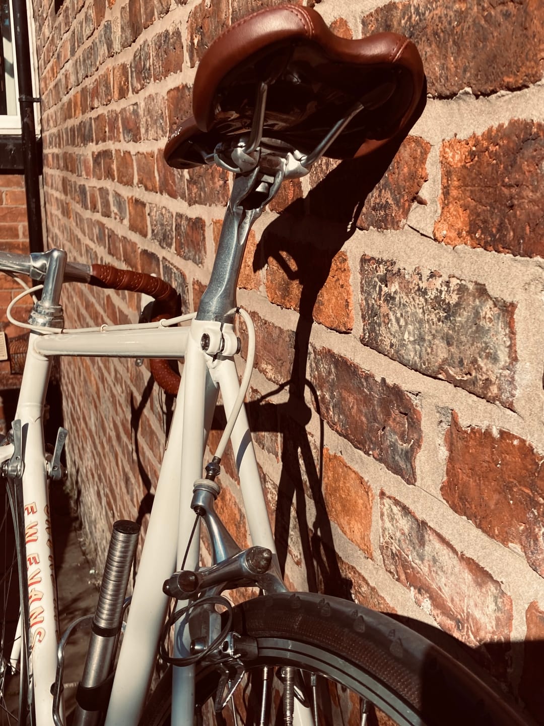 Customer photo review of Temple Bristol Saddle Brown