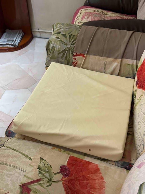 Customer photo review of Latex Floor Cushion