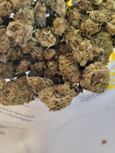 Customer photo review of Cheap THCA Flower Quarter Pound