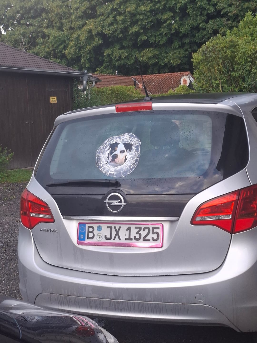 Customer photo review of Spähendes Foto Glas - Individueller Autoaufkleber