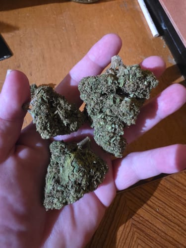 Customer photo review of UK Cheese THCA Flower