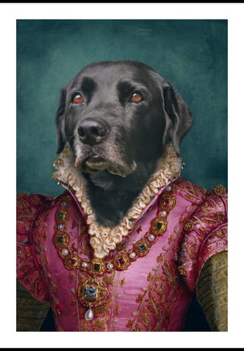 Customer photo review of The Countess - Custom Vintage Pet Portrait