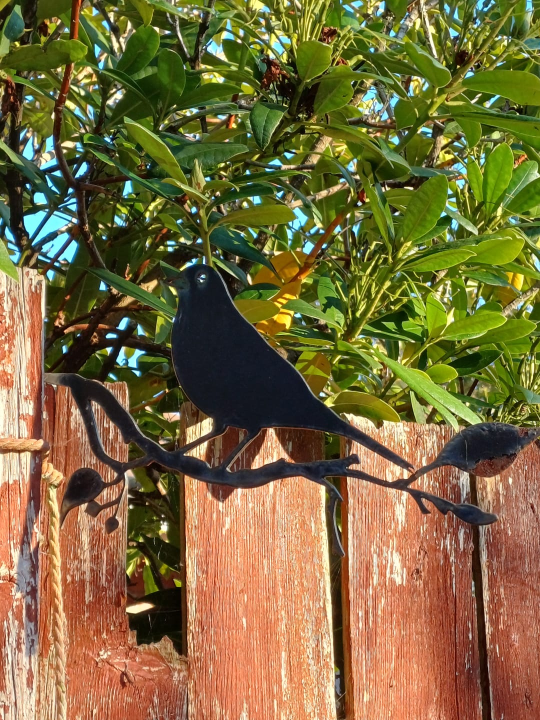 Customer photo review of Mini Metalbirds
