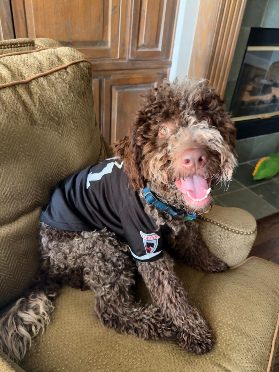 Customer photo review of Custom Black White Classic Style Dog Jersey