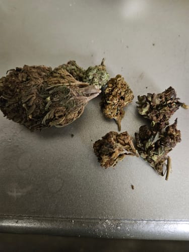 Customer photo review of THCA Flower Budget Buds