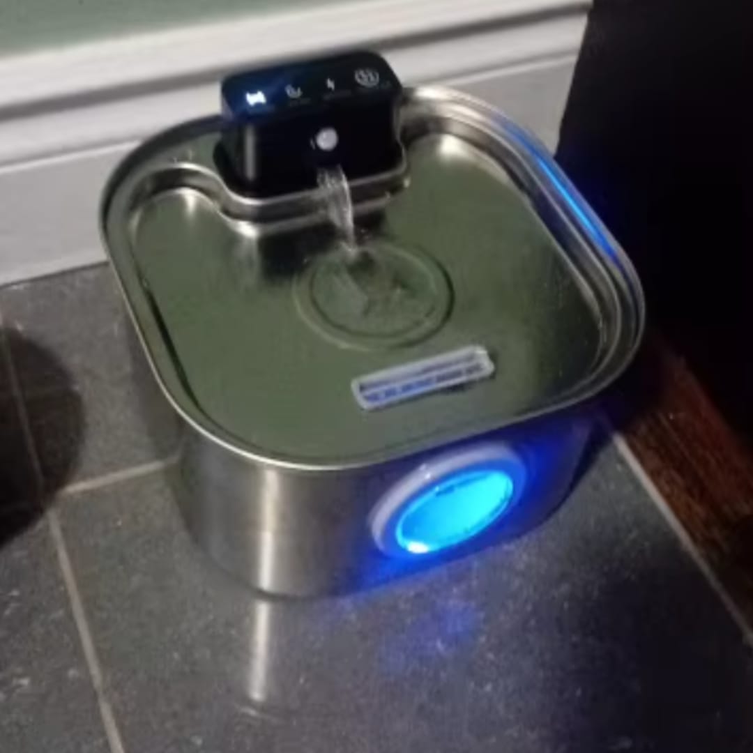 Customer photo review of PfotenBrunnen™ - Der automatischer Katzenwasserspender