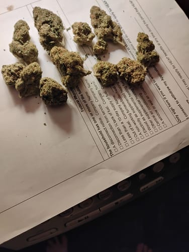 Customer photo review of Laughing Gas - 28 Grams - Indica