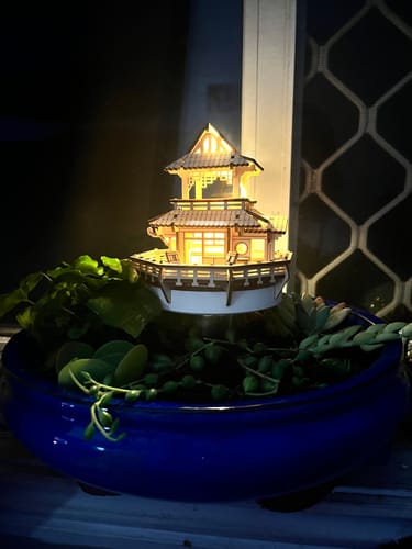 Customer photo review of Sunrise Terrace + Grow Light