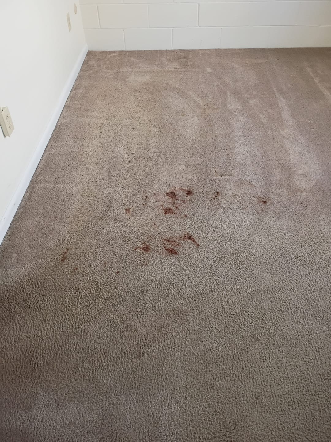 Customer photo review of ~ Releasit Encap-Hydrox (1 Gallon) Encapsulation Carpet Cleaning Products [Encap]
