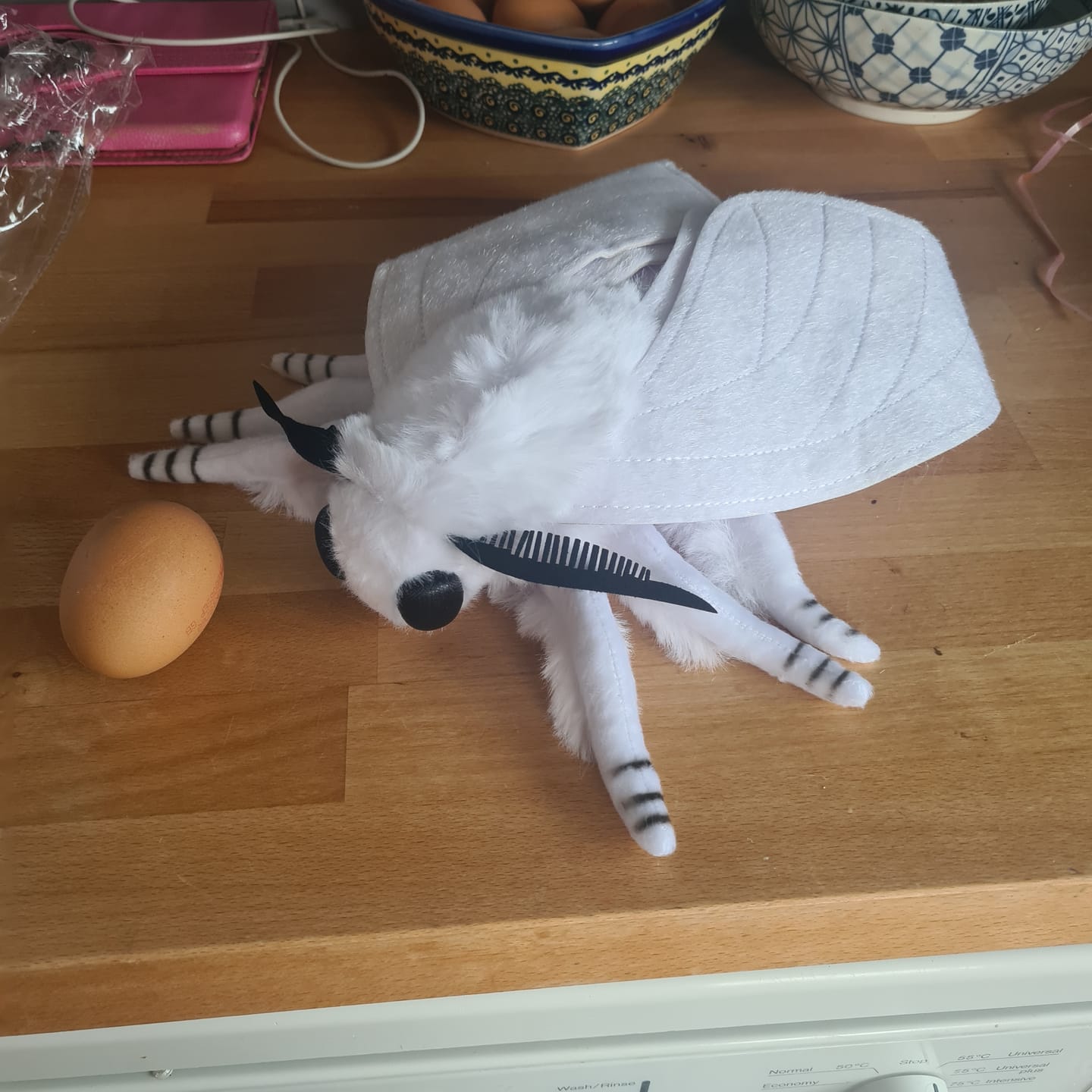 Customer photo review of Fall Webworm Moth Soft Stuffed Plush Toy