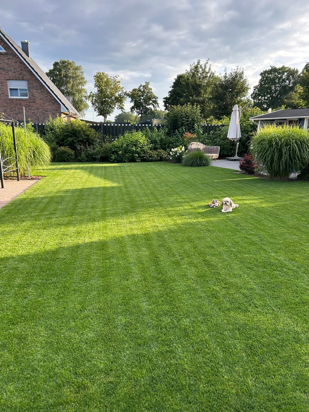 Customer photo review of Animatio Boden-Aktivator, 1 L