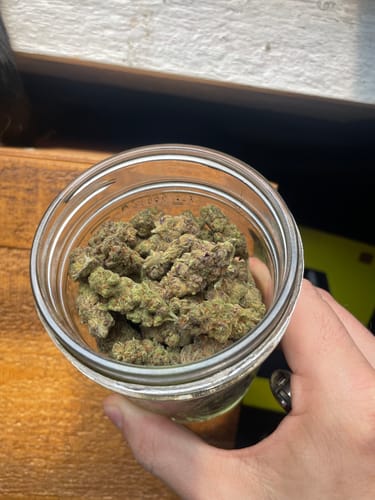 Customer photo review of Orange Crush