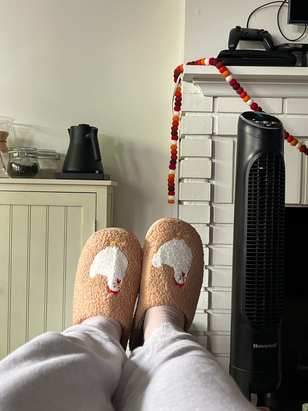 Customer photo review of Brown Fuzzy Chicken Slippers - Adult