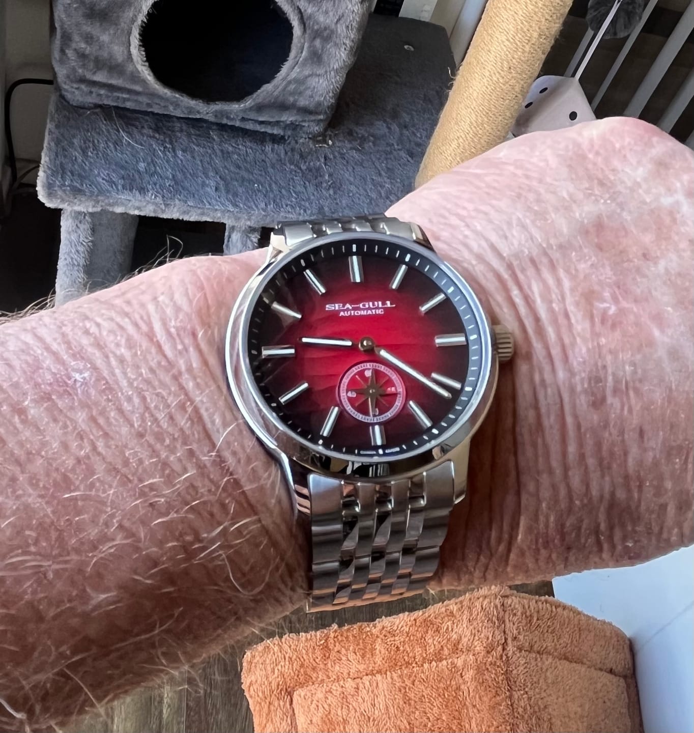 Customer photo review of Natural Series | Polaris Sub Dial | Luminous | 40mm