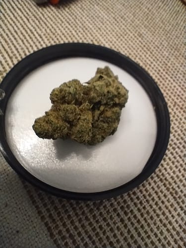 Customer photo review of Acapulco Gold THCA Flower